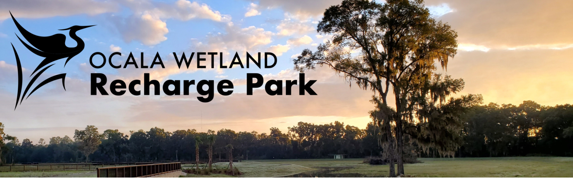 Wetland Recharge Park