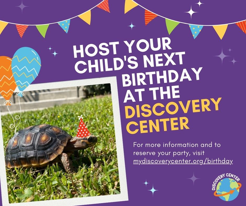 Discovery Center Birthdays_Web Square_Animal 1