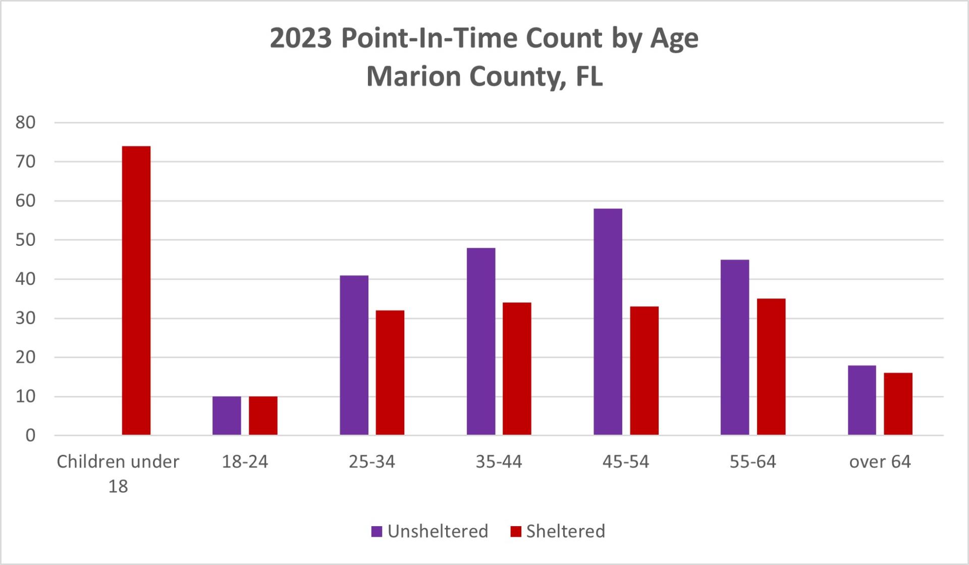 2023 PIT Count by Age